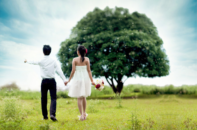 Truyện ngắn: Ngược chiều gió hát...