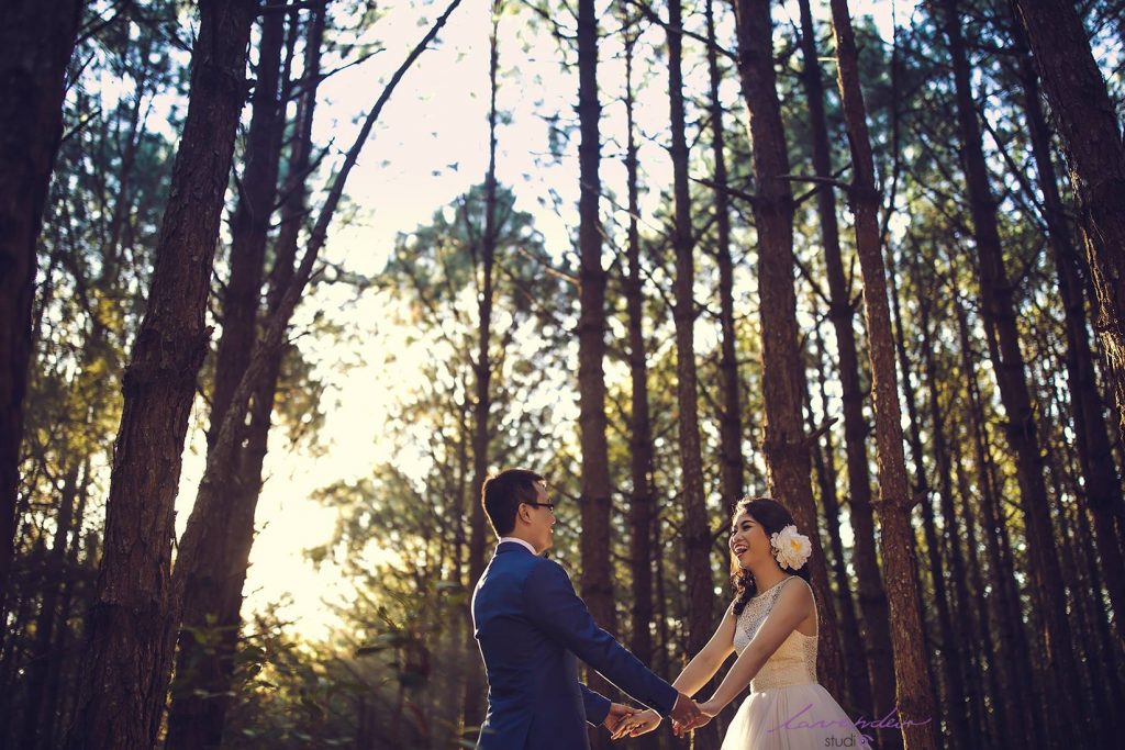 chụp hình cưới ở trong rừng