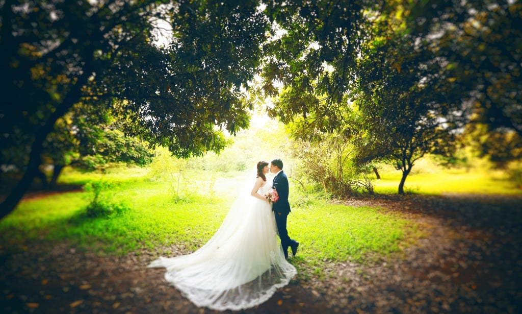 Trọn bộ kinh nghiệm du lịch kết hợp chụp ảnh cưới 2026