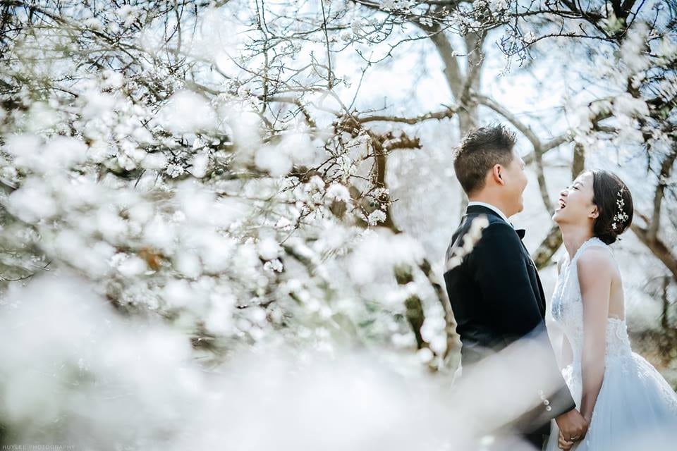 Trọn bộ kinh nghiệm du lịch kết hợp chụp ảnh cưới 2026