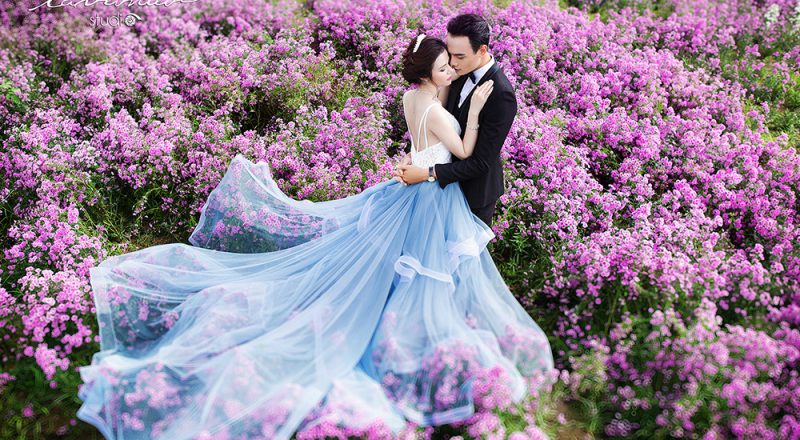 ảnh cưới Lavender 2018